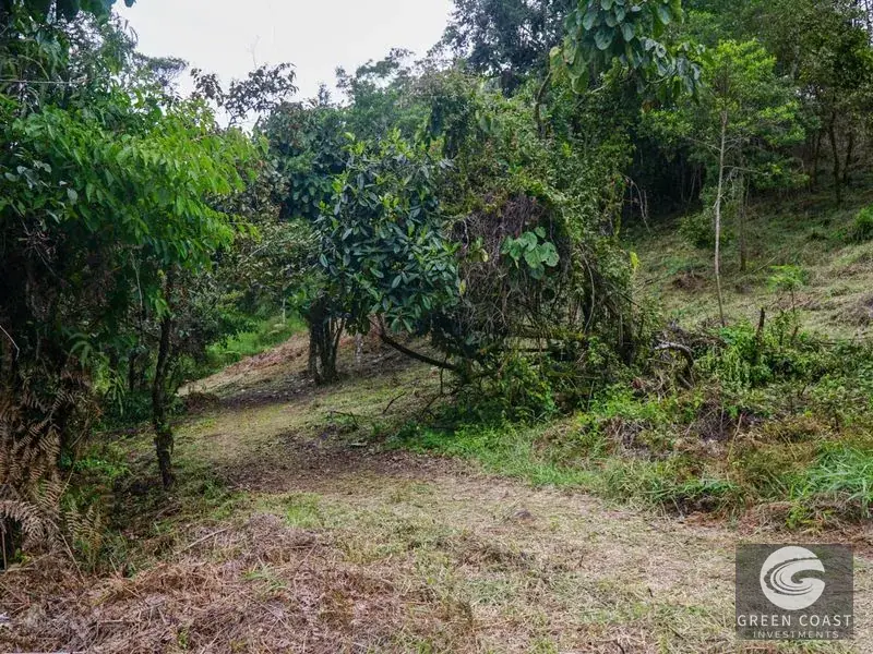 11-Hectare Mountain Paradise Bordering Nature Reserve in San Gerardo de Rivas — view 12, Rivas, Perez Zeledon, Costa Rica