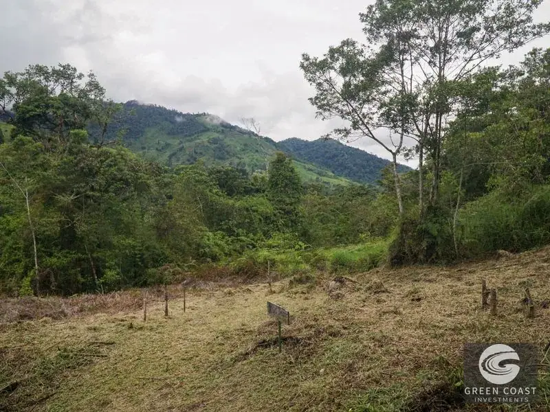 11-Hectare Mountain Paradise Bordering Nature Reserve in San Gerardo de Rivas — view 13, Rivas, Perez Zeledon, Costa Rica