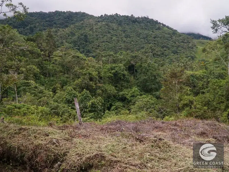 11-Hectare Mountain Paradise Bordering Nature Reserve in San Gerardo de Rivas — view 14, Rivas, Perez Zeledon, Costa Rica