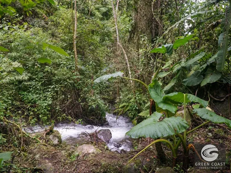 11-Hectare Mountain Paradise Bordering Nature Reserve in San Gerardo de Rivas — view 15, Rivas, Perez Zeledon, Costa Rica
