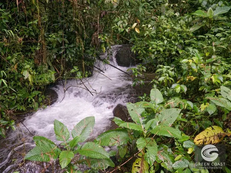 11-Hectare Mountain Paradise Bordering Nature Reserve in San Gerardo de Rivas — view 16, Rivas, Perez Zeledon, Costa Rica