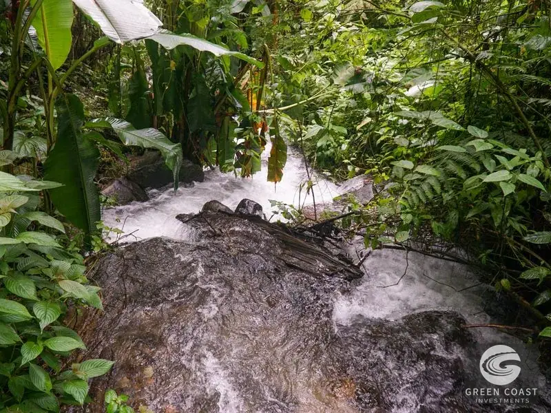 11-Hectare Mountain Paradise Bordering Nature Reserve in San Gerardo de Rivas — view 17, Rivas, Perez Zeledon, Costa Rica