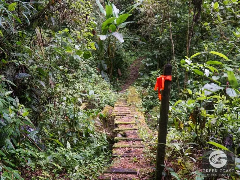 11-Hectare Mountain Paradise Bordering Nature Reserve in San Gerardo de Rivas — view 18, Rivas, Perez Zeledon, Costa Rica