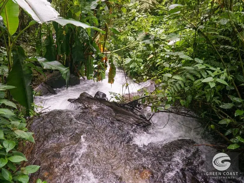 11-Hectare Mountain Paradise Bordering Nature Reserve in San Gerardo de Rivas — view 20, Rivas, Perez Zeledon, Costa Rica