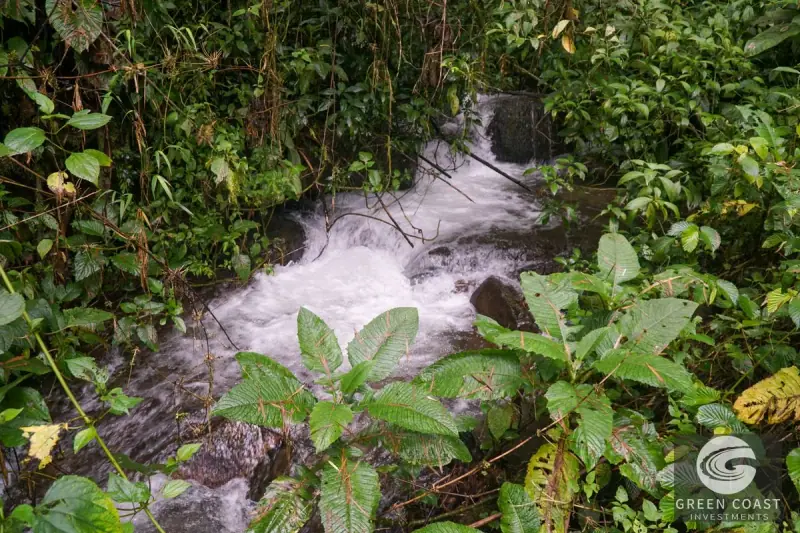 11-Hectare Mountain Paradise Bordering Nature Reserve in San Gerardo de Rivas — view 26, Rivas, Perez Zeledon, Costa Rica