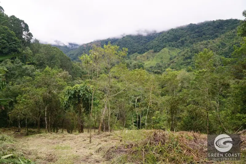 11-Hectare Mountain Paradise Bordering Nature Reserve in San Gerardo de Rivas — view 34, Rivas, Perez Zeledon, Costa Rica