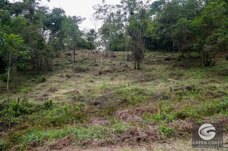 11-Hectare Mountain Paradise Bordering Nature Reserve in San Gerardo de Rivas — view 35, Rivas, Perez Zeledon, Costa Rica