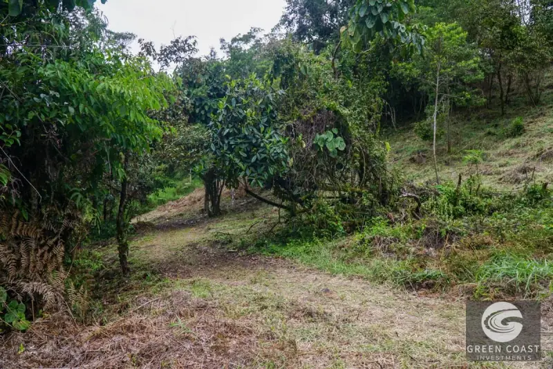 11-Hectare Mountain Paradise Bordering Nature Reserve in San Gerardo de Rivas — view 36, Rivas, Perez Zeledon, Costa Rica