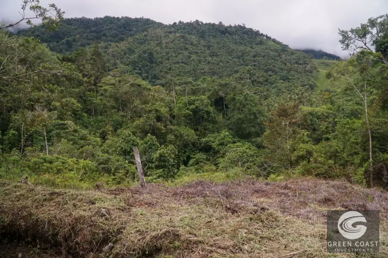 11-Hectare Mountain Paradise Bordering Nature Reserve in San Gerardo de Rivas — view 38, Rivas, Perez Zeledon, Costa Rica