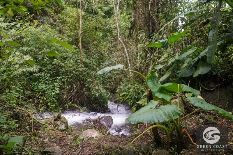 11-Hectare Mountain Paradise Bordering Nature Reserve in San Gerardo de Rivas — view 39, Rivas, Perez Zeledon, Costa Rica