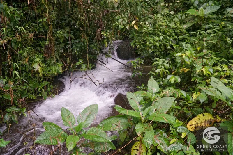 11-Hectare Mountain Paradise Bordering Nature Reserve in San Gerardo de Rivas — view 40, Rivas, Perez Zeledon, Costa Rica