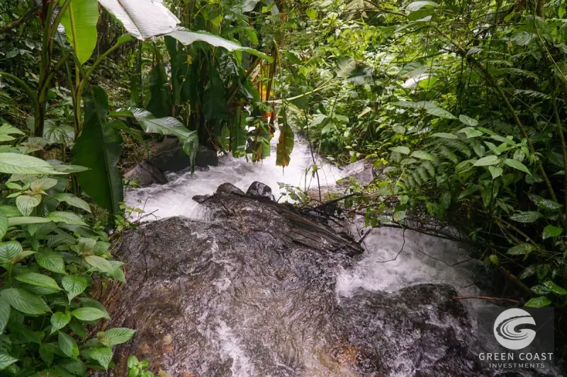 11-Hectare Mountain Paradise Bordering Nature Reserve in San Gerardo de Rivas — view 41, Rivas, Perez Zeledon, Costa Rica