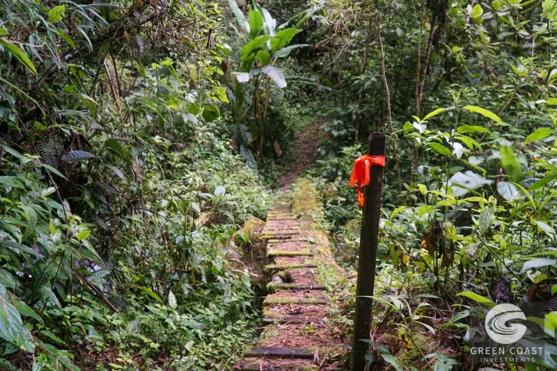 11-Hectare Mountain Paradise Bordering Nature Reserve in San Gerardo de Rivas — view 42, Rivas, Perez Zeledon, Costa Rica
