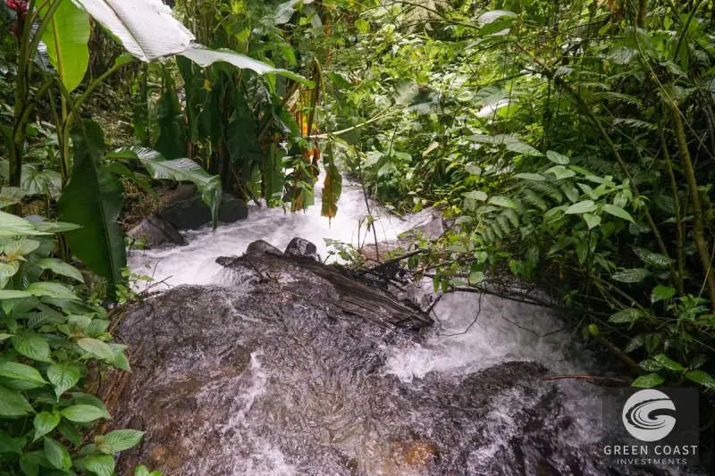 11-Hectare Mountain Paradise Bordering Nature Reserve in San Gerardo de Rivas — view 44, Rivas, Perez Zeledon, Costa Rica