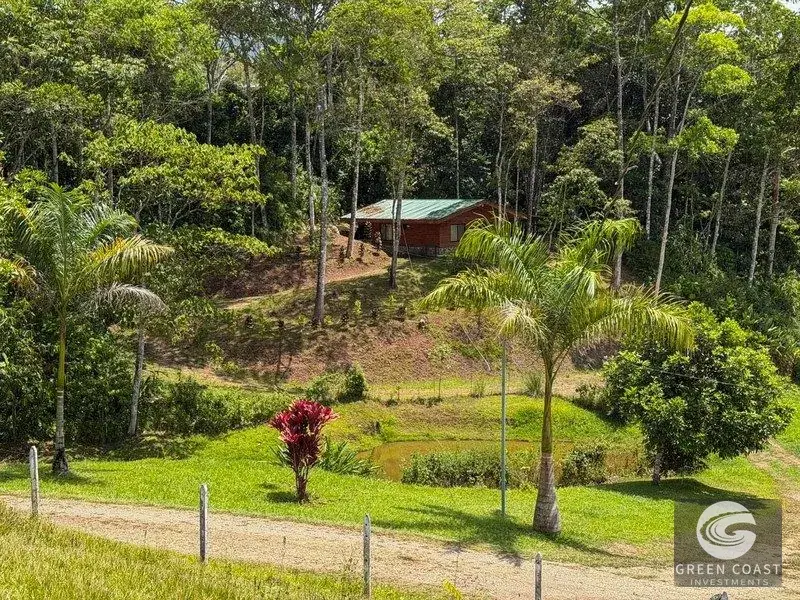 30-Acre Perez Zeledon Estate with 4 Pine Cabins, Scenic Mountain Views, and River — view 2, Perez Zeledon, Costa Rica