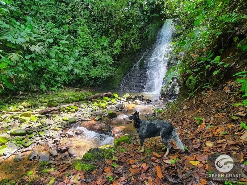 267-Acre Ocean View Paradise with Waterfalls & Commercial Hardwoods in Dominical — view 2, Dominical, Costa Rica