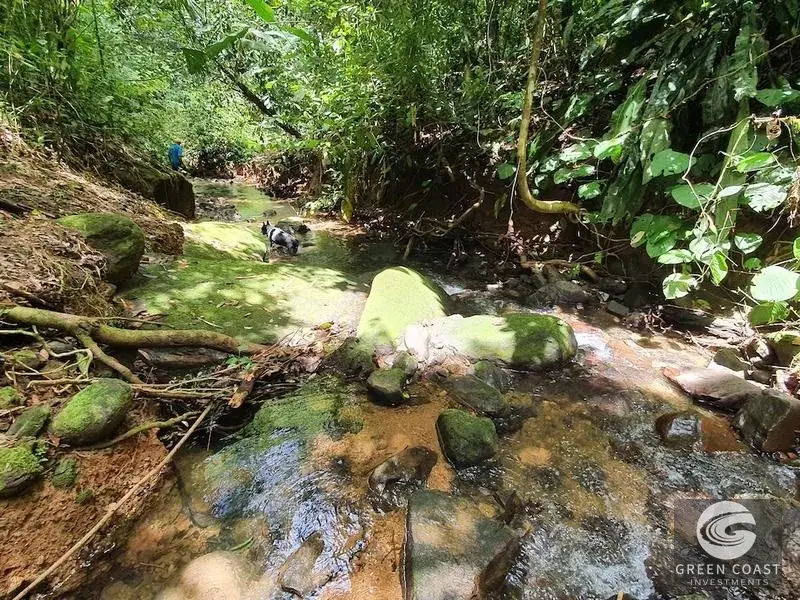 267-Acre Ocean View Paradise with Waterfalls & Commercial Hardwoods in Dominical — view 5, Dominical, Costa Rica