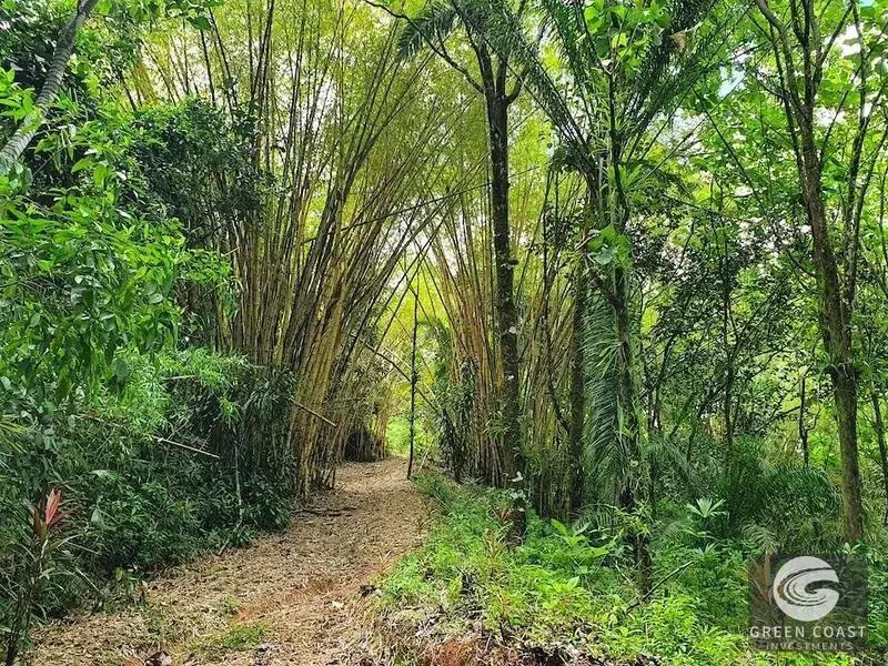 267-Acre Ocean View Paradise with Waterfalls & Commercial Hardwoods in Dominical — view 6, Dominical, Costa Rica