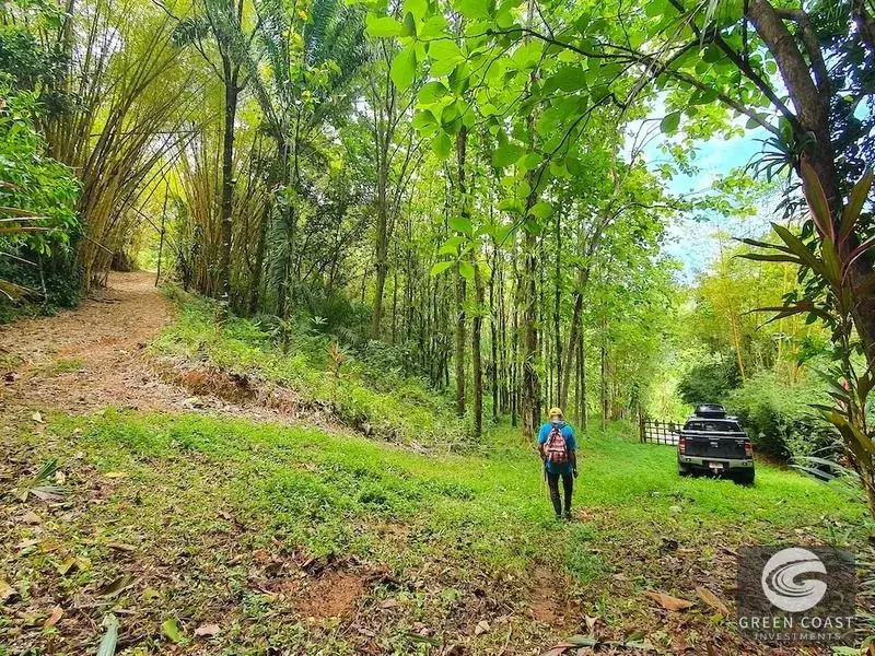 267-Acre Ocean View Paradise with Waterfalls & Commercial Hardwoods in Dominical — view 7, Dominical, Costa Rica
