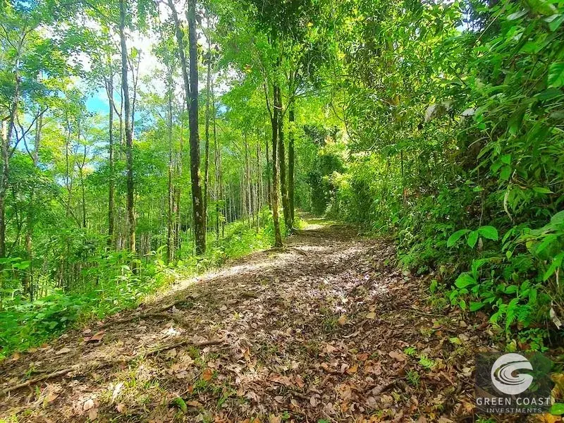 267-Acre Ocean View Paradise with Waterfalls & Commercial Hardwoods in Dominical — view 8, Dominical, Costa Rica