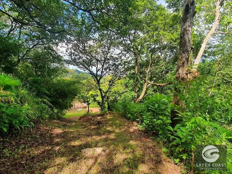 267-Acre Ocean View Paradise with Waterfalls & Commercial Hardwoods in Dominical — view 9, Dominical, Costa Rica