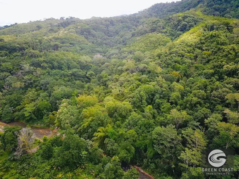 267-Acre Ocean View Paradise with Waterfalls & Commercial Hardwoods in Dominical — view 12, Dominical, Costa Rica
