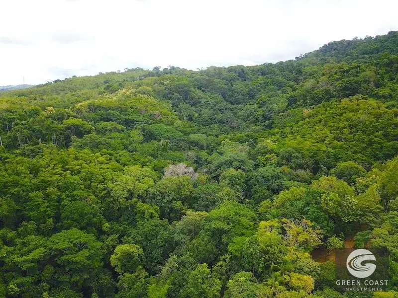 267-Acre Ocean View Paradise with Waterfalls & Commercial Hardwoods in Dominical — view 13, Dominical, Costa Rica