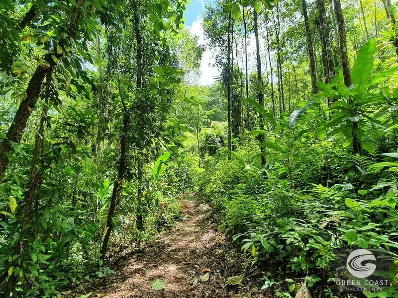 267-Acre Ocean View Paradise with Waterfalls & Commercial Hardwoods in Dominical — view 14, Dominical, Costa Rica