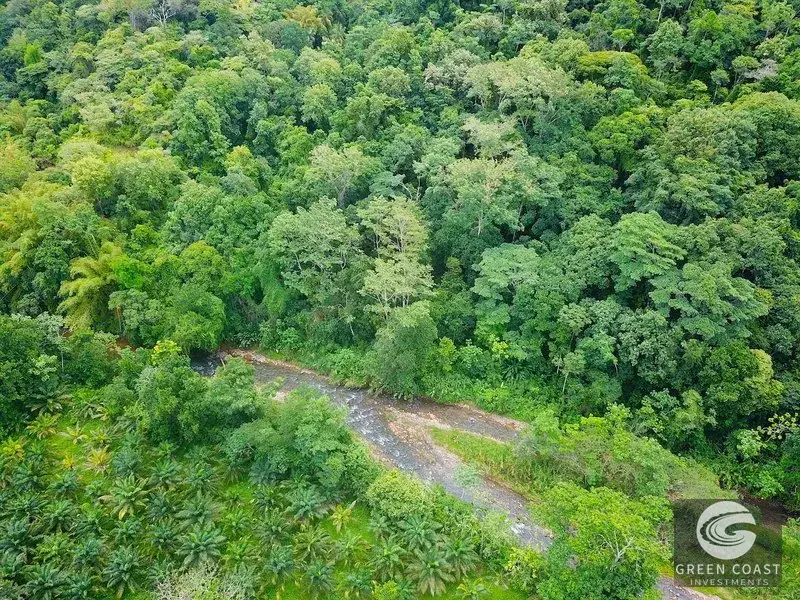 267-Acre Ocean View Paradise with Waterfalls & Commercial Hardwoods in Dominical — view 19, Dominical, Costa Rica