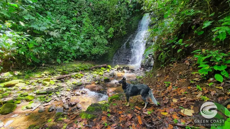 267-Acre Ocean View Paradise with Waterfalls & Commercial Hardwoods in Dominical — view 26, Dominical, Costa Rica