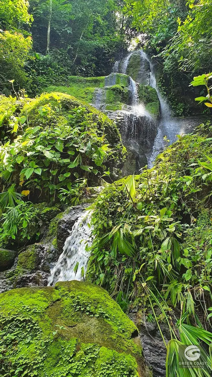 267-Acre Ocean View Paradise with Waterfalls & Commercial Hardwoods in Dominical — view 27, Dominical, Costa Rica