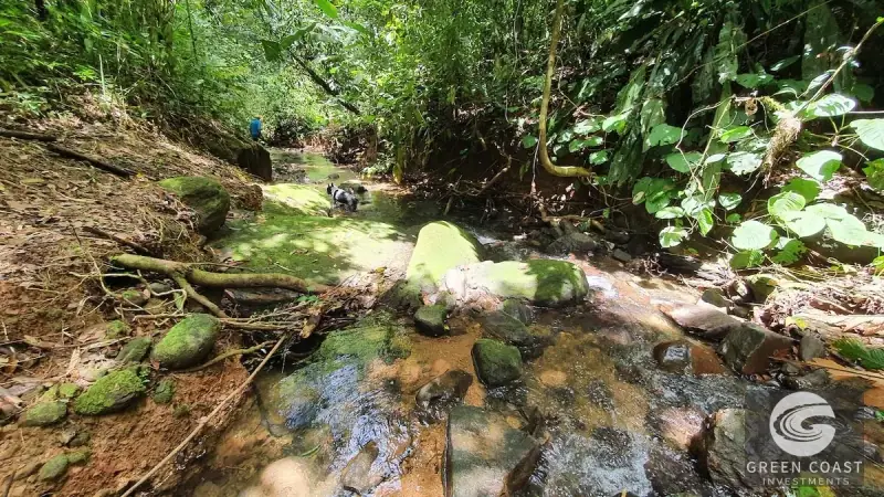 267-Acre Ocean View Paradise with Waterfalls & Commercial Hardwoods in Dominical — view 29, Dominical, Costa Rica
