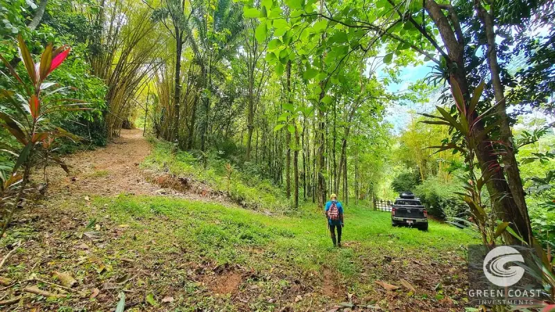 267-Acre Ocean View Paradise with Waterfalls & Commercial Hardwoods in Dominical — view 31, Dominical, Costa Rica