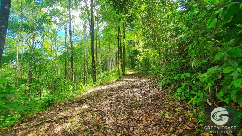 267-Acre Ocean View Paradise with Waterfalls & Commercial Hardwoods in Dominical — view 32, Dominical, Costa Rica