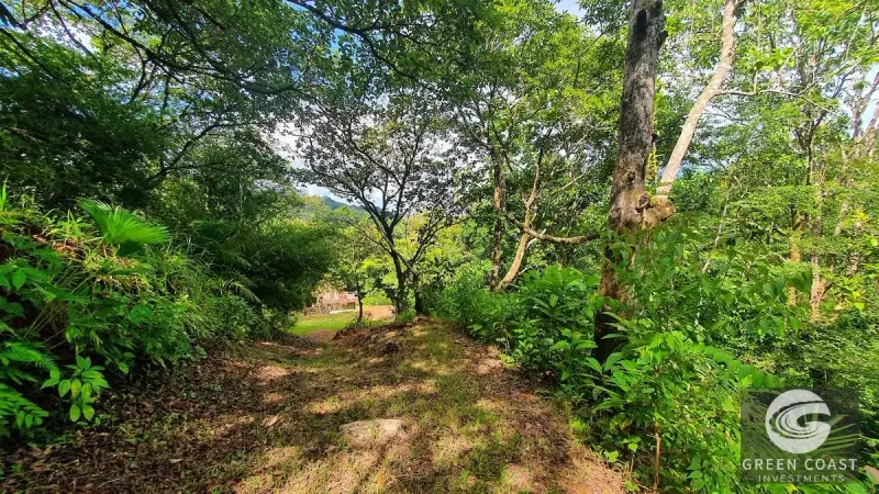 267-Acre Ocean View Paradise with Waterfalls & Commercial Hardwoods in Dominical — view 33, Dominical, Costa Rica