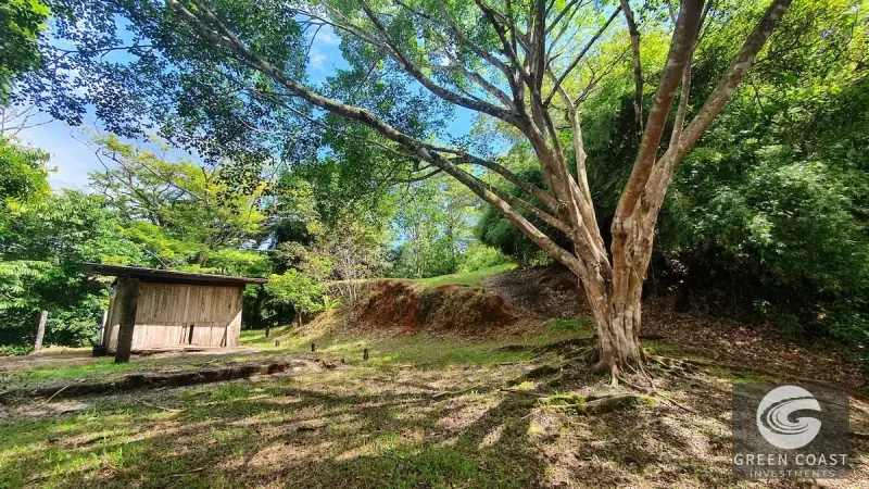 267-Acre Ocean View Paradise with Waterfalls & Commercial Hardwoods in Dominical — view 34, Dominical, Costa Rica