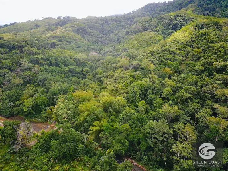 267-Acre Ocean View Paradise with Waterfalls & Commercial Hardwoods in Dominical — view 36, Dominical, Costa Rica