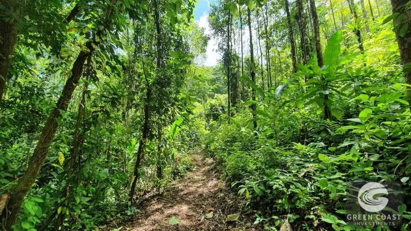 267-Acre Ocean View Paradise with Waterfalls & Commercial Hardwoods in Dominical — view 38, Dominical, Costa Rica
