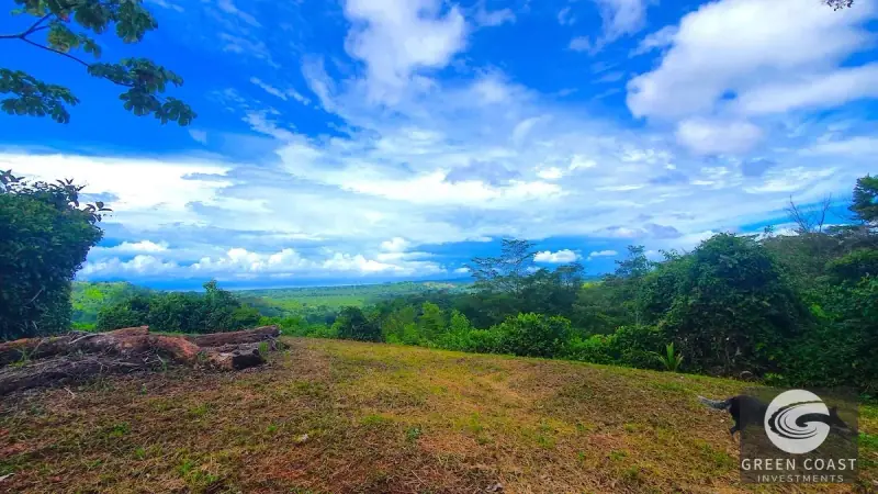 267-Acre Ocean View Paradise with Waterfalls & Commercial Hardwoods in Dominical — view 40, Dominical, Costa Rica
