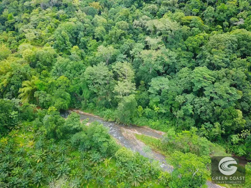 267-Acre Ocean View Paradise with Waterfalls & Commercial Hardwoods in Dominical — view 43, Dominical, Costa Rica
