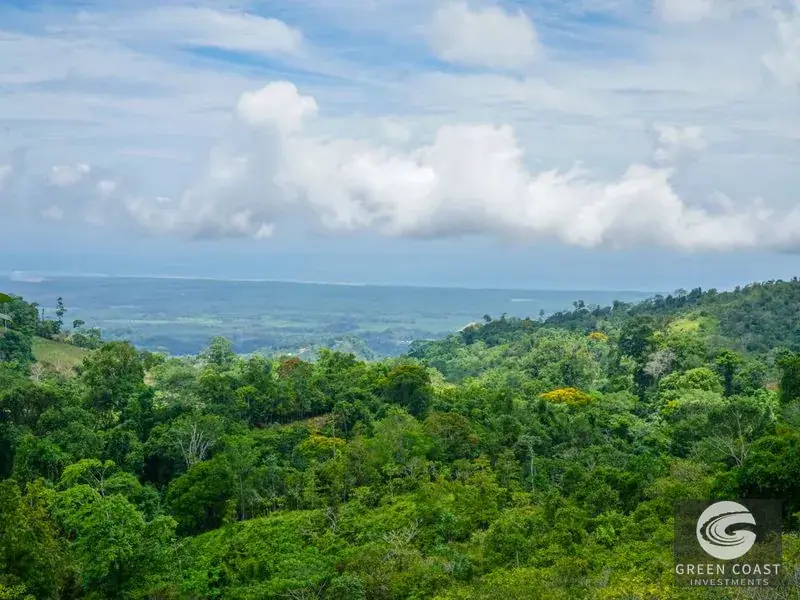 Panoramic Ocean View Ridge: 78 Acres of Prime Development Land in Osa — view 7, Ciudad Cortes, Osa, Costa Rica