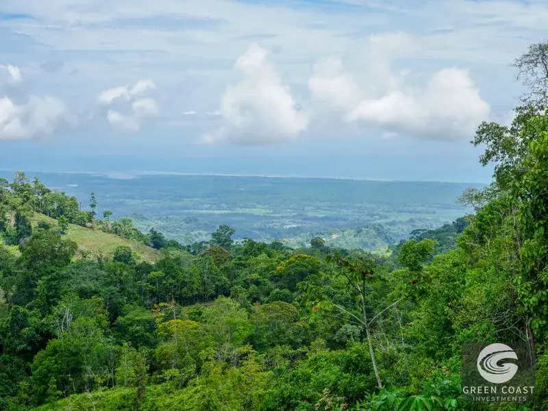 Panoramic Ocean View Ridge: 78 Acres of Prime Development Land in Osa — view 14, Ciudad Cortes, Osa, Costa Rica