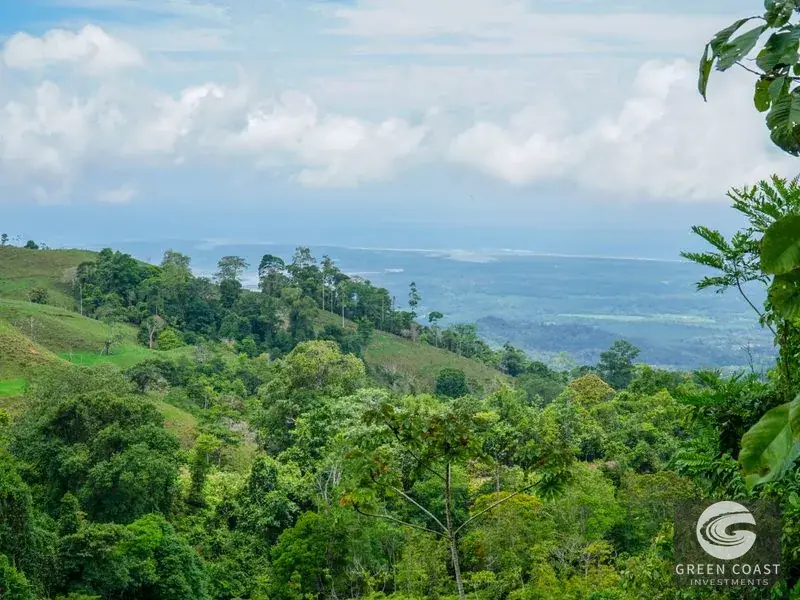Panoramic Ocean View Ridge: 78 Acres of Prime Development Land in Osa — view 17, Ciudad Cortes, Osa, Costa Rica