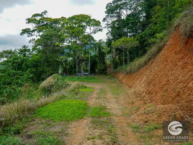 Panoramic Ocean View Ridge: 78 Acres of Prime Development Land in Osa — view 19, Ciudad Cortes, Osa, Costa Rica