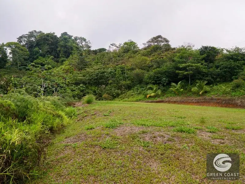 Panoramic Ocean View Ridge: 78 Acres of Prime Development Land in Osa — view 24, Ciudad Cortes, Osa, Costa Rica
