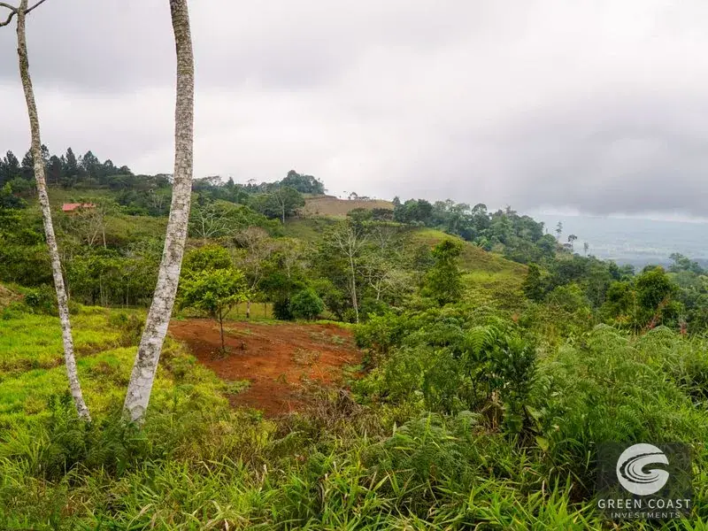 Panoramic Ocean View Ridge: 78 Acres of Prime Development Land in Osa — view 26, Ciudad Cortes, Osa, Costa Rica