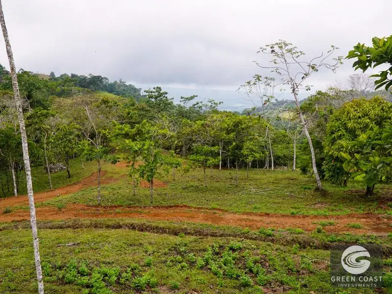 Panoramic Ocean View Ridge: 78 Acres of Prime Development Land in Osa — view 27, Ciudad Cortes, Osa, Costa Rica