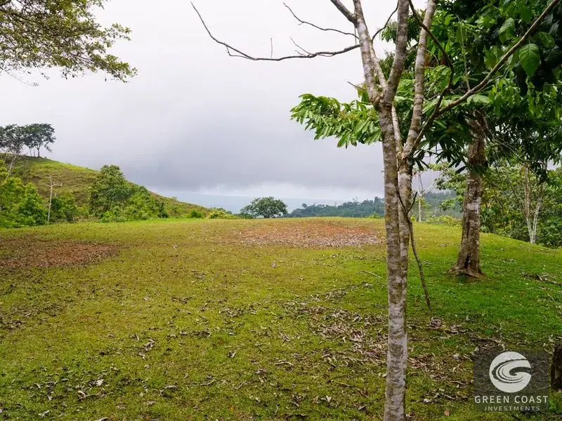Panoramic Ocean View Ridge: 78 Acres of Prime Development Land in Osa — view 28, Ciudad Cortes, Osa, Costa Rica