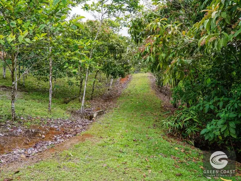 Panoramic Ocean View Ridge: 78 Acres of Prime Development Land in Osa — view 29, Ciudad Cortes, Osa, Costa Rica