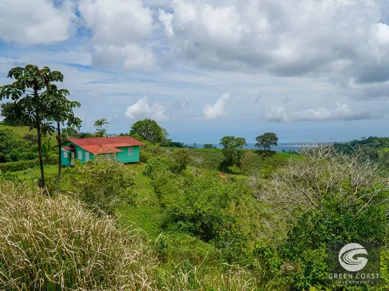 Panoramic Ocean View Ridge: 78 Acres of Prime Development Land in Osa — view 30, Ciudad Cortes, Osa, Costa Rica